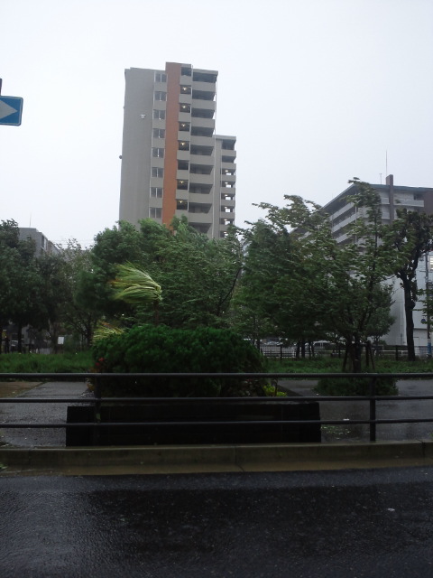 台風１７.jpg