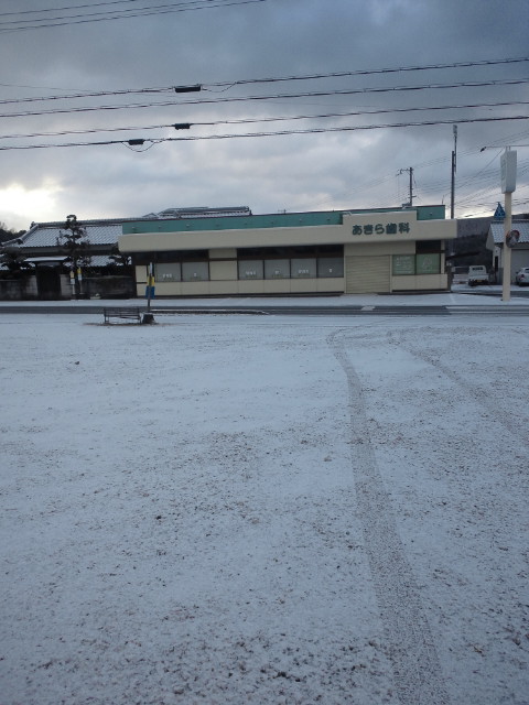 雪2月18日.jpg